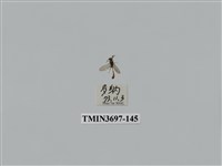 藏品(膜翅目(蜂))的圖片